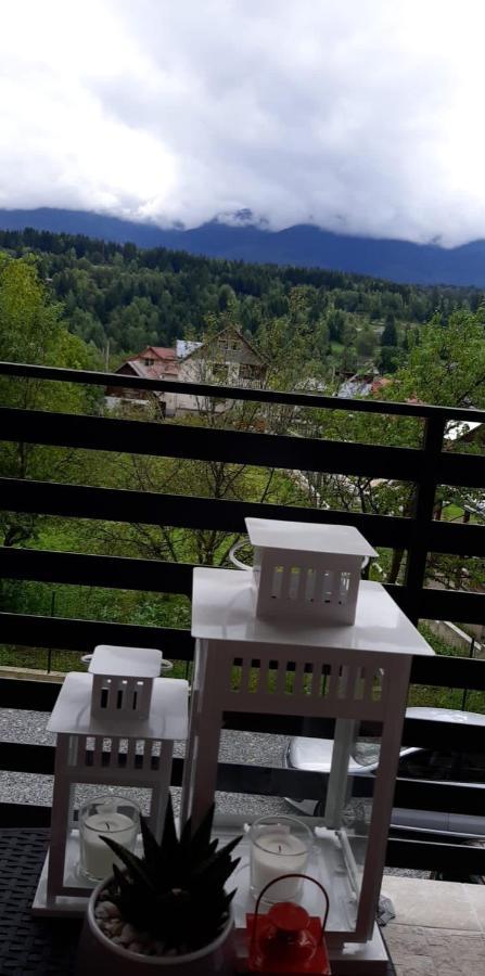 Villa Maya Borşa المظهر الخارجي الصورة